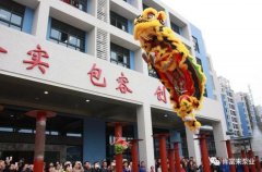 醒狮贺岁，沈阳智宸企业社会责任服务有限公司2019年开工大吉