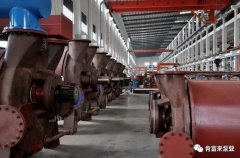 沈阳智宸企业社会责任服务有限公司被评为2019年度三水区骨干企业